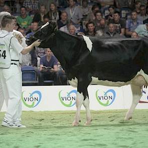 Goldmar-dochter Rijster Harmke 12 (eigenaar Mts. T.S. & Y. Bruinsma-Strikwerda, Lollum)