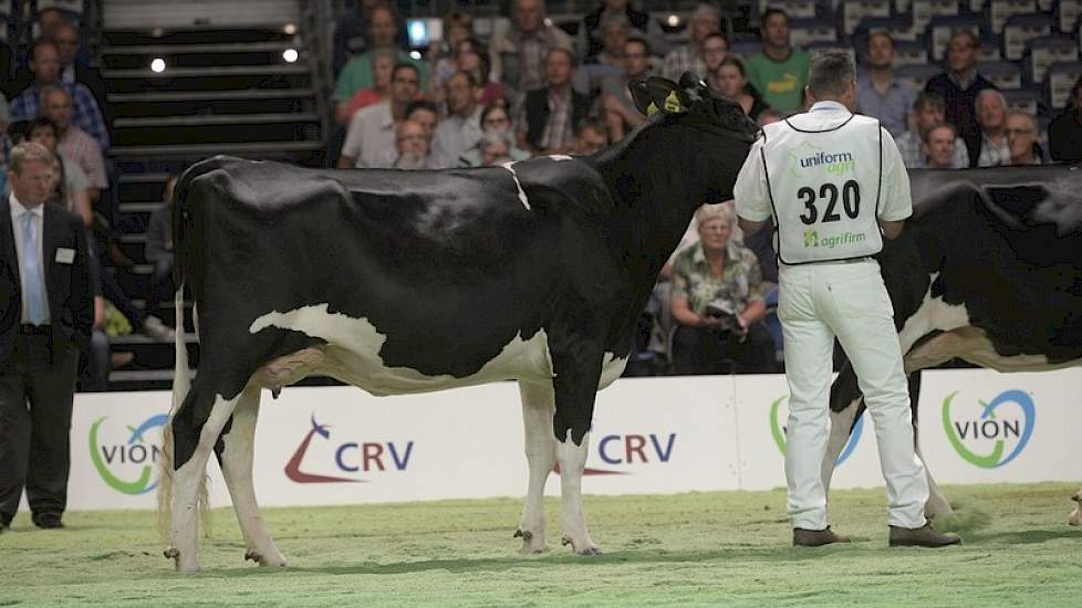 Leonidas-dochter Gansey's Gonny 2 (eigenaar Mts. Menkveld-de Haan, Zeewolde)