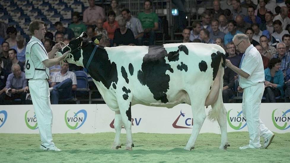 Goldmar-dochter Lucy 236 (eigenaar Mts E.J.F. & A. Alderkamp-Voogt, Zevenaar)