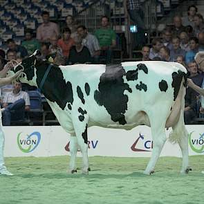 Goldmar-dochter Lucy 236 (eigenaar Mts E.J.F. & A. Alderkamp-Voogt, Zevenaar)