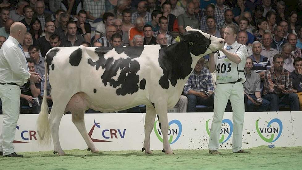 Norwin-dochter Wilgenhoeve Wizzy 3 (eigenaar C.J. Groenen, Middelaar)