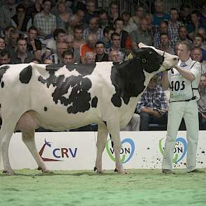 Norwin-dochter Wilgenhoeve Wizzy 3 (eigenaar C.J. Groenen, Middelaar)