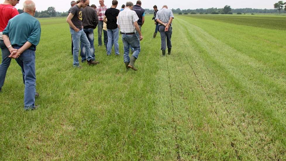 De vele aanwezigen bekijken het resultaat van de zodebemester. de komende vier weken zal uitwijzen welk systeem de meeste grasgroei geeft.