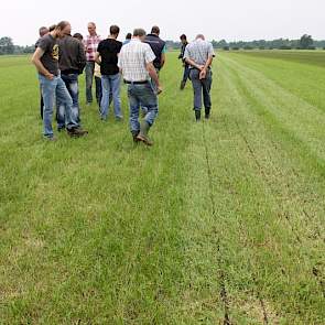 De vele aanwezigen bekijken het resultaat van de zodebemester. de komende vier weken zal uitwijzen welk systeem de meeste grasgroei geeft.