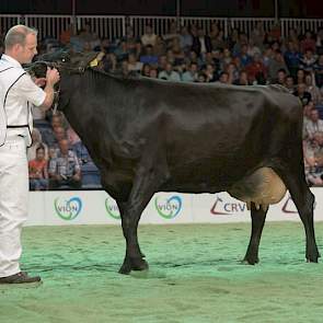 Etvei-dochter Bicc Christina 33 (eigenaar Mts. B.J. & C. & C. Kloosterman-Deinum, Veenwouden)