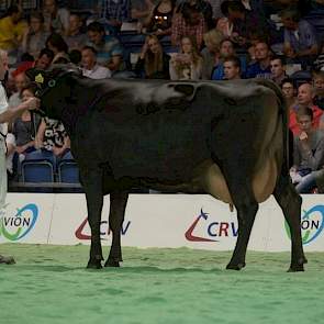 Etvei-dochter Bicc Christina 33 (eigenaar Mts. B.J. & C. & C. Kloosterman-Deinum, Veenwouden)