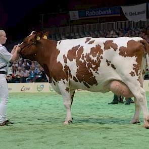 Lars-dochter Martine 43 (eigenaar VOF van Blaaderen, Amstelveen)