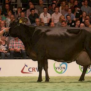 Prossli-dochter Mollie 261 (eigenaar Mts. A. & A.J. Prins, B Prins Broek, Nieuwleusen)