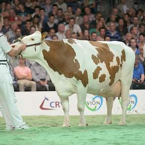 Imposium-dochter Annie 164 (eigenaar H.W. & J.G. & M.E. te Peele-te Strake, Winterswijk Corle)