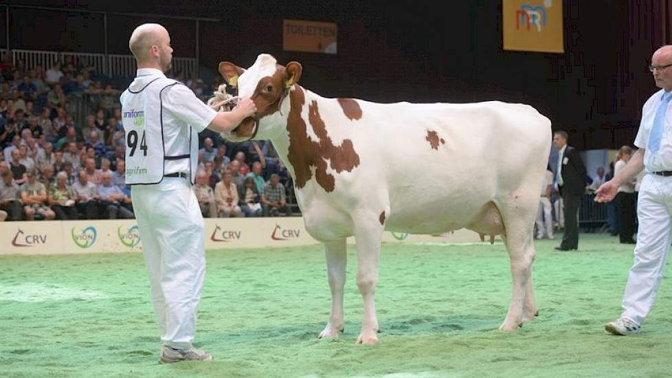 Donald 516-dochter Rieke 82 (eigenaar Mts. J. & G. & W. Roelofs-Nijenhuis Vlagtwedde)