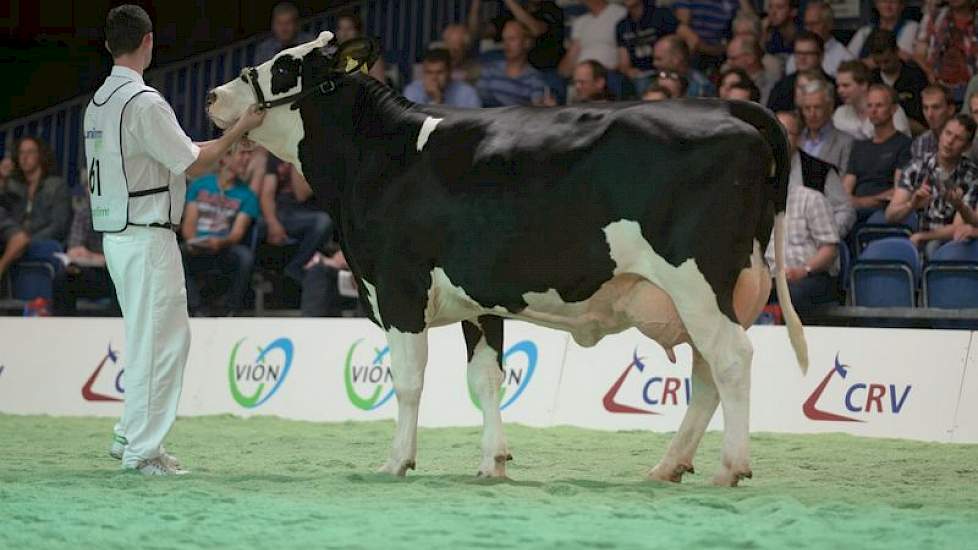 Momo-dochter Dinka 29 (eigenaar Mts. P.J.C.M. & J.A.M. Roozen-Vermeulen, Hilvarenbeek)