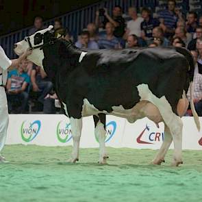 Momo-dochter Dinka 29 (eigenaar Mts. P.J.C.M. & J.A.M. Roozen-Vermeulen, Hilvarenbeek)