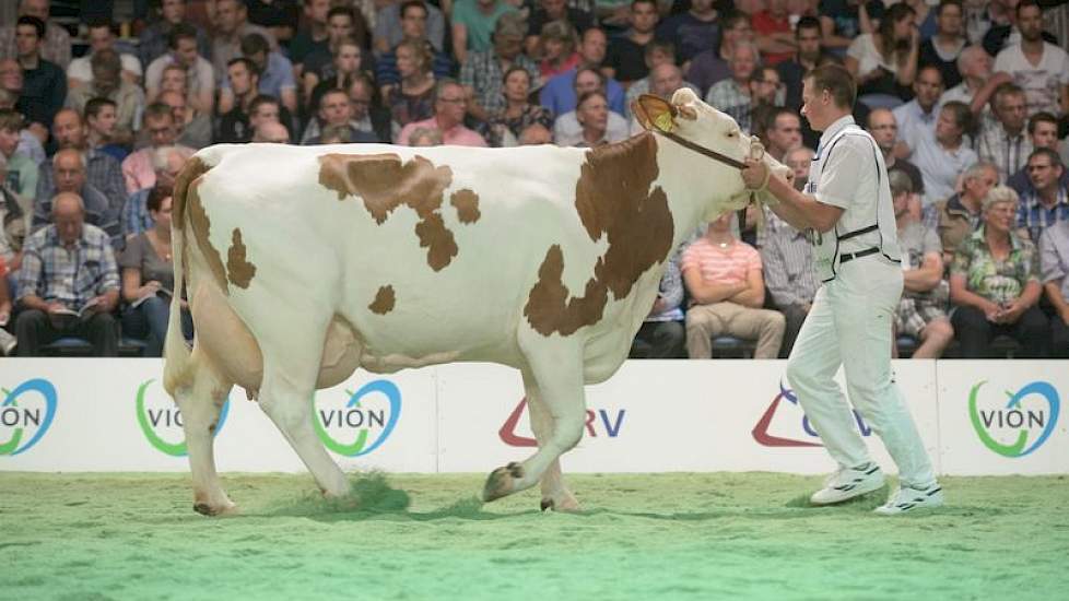 Imposium-dochter Annie 164 (eigenaar H.W. & J.G. & M.E. te Peele-te Strake, Winterswijk Corle)