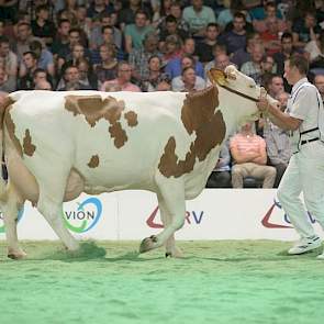 Imposium-dochter Annie 164 (eigenaar H.W. & J.G. & M.E. te Peele-te Strake, Winterswijk Corle)