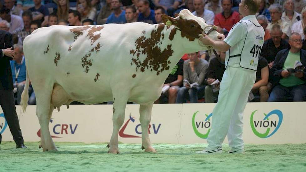 Nicator-dochter Gonda 3 (eigenaar H.M. van Versendaal, Ophemert)