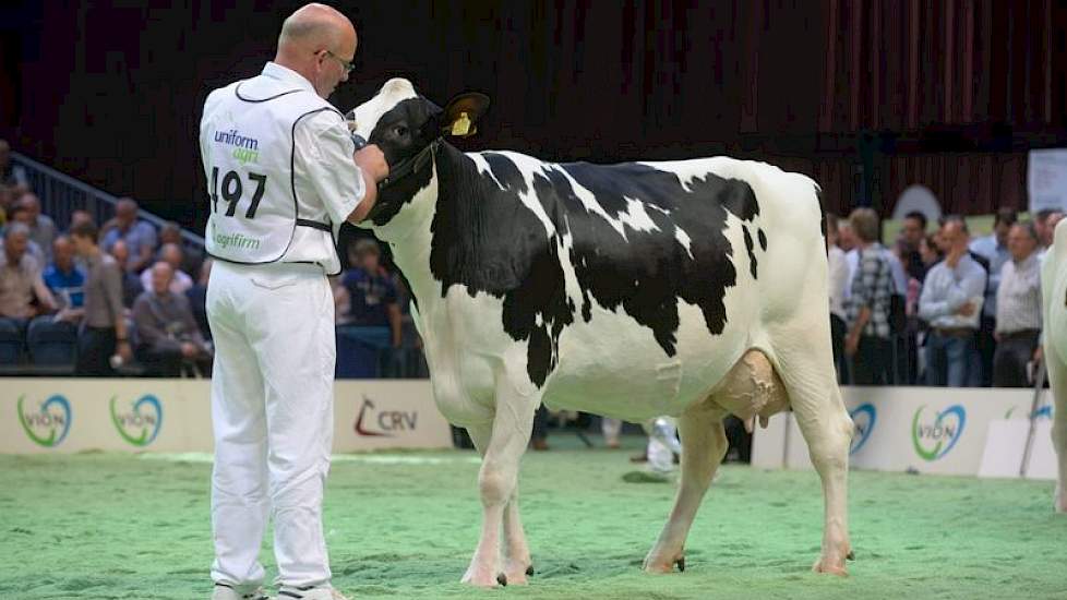 Marijn-dochter Boukje 126 (eigenaar VOF melkveebedrijf it Surein, Exmorra)