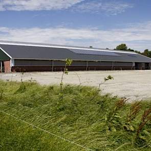 Op de zijkant van de stal kunnen de koeien naar buiten. Aan de achterkant kunnen ze weer naar binnen.