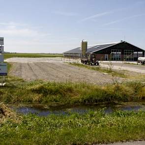 De koeien zullen als het weer het toelaat volop geweid worden, maar bij nattere dagen en in de herfst en winter kunnen de koeien rondlopen in de 2000 vierkante meter grote zandbak.