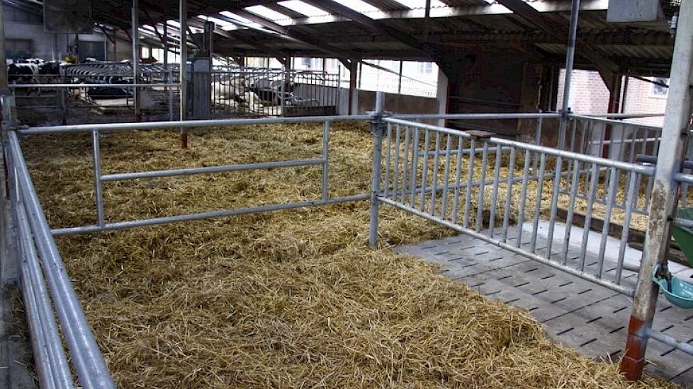 Ook werden er grote strohokken in de oude stal gemaakt. De droge koeien worden eveneens in deze stal gehuisvest.