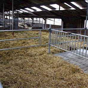 Ook werden er grote strohokken in de oude stal gemaakt. De droge koeien worden eveneens in deze stal gehuisvest.