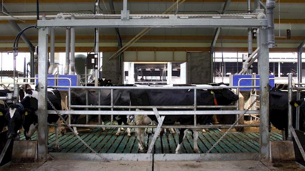 Twee voergangbruggen zorgen ervoor dat de koeien schoon over de voergang kunnen steken. Deze brug ligt in het verlengde van de oversteek naar de oude stal.