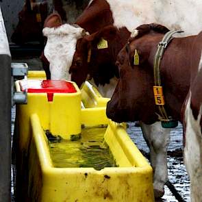 De thermo-drinkbakken  houden het water in de zomer koel en in de winter stromend, zonder dat daarbij gebruik wordt gemaakt van elektrische stroom.