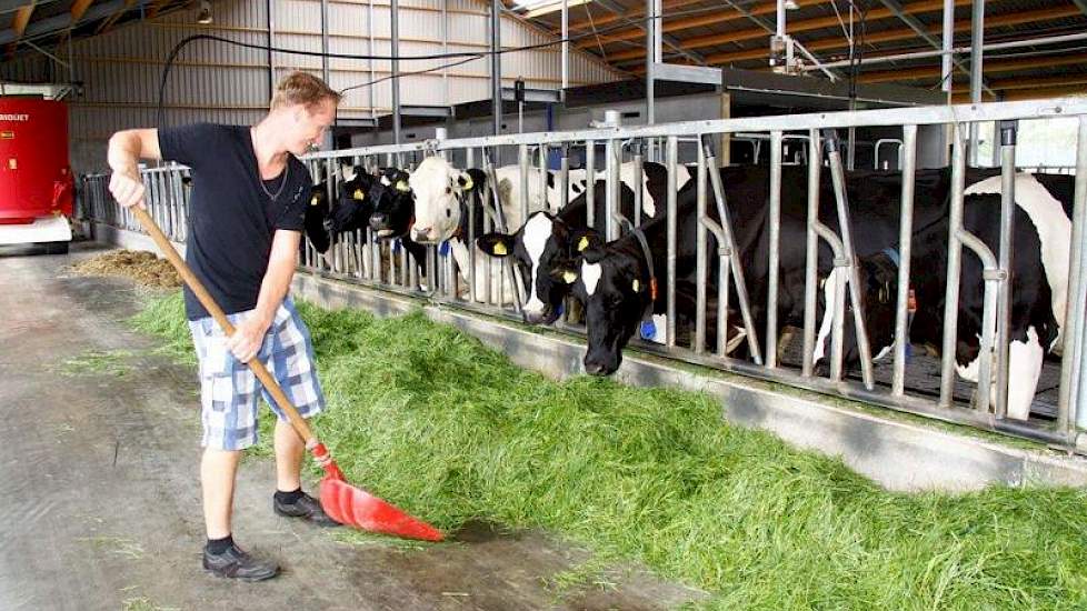 In de oude situatie hadden ze 100 koeien en 70 stuks jongvee. „De melkstal, een 2x5, was 30 jaar oud en helemaal versleten. Het jongvee zat overal verspreid, we hadden te weinig mestopslag en de melktank was te klein”, vertelt Frank. Een nieuwe melkveesta