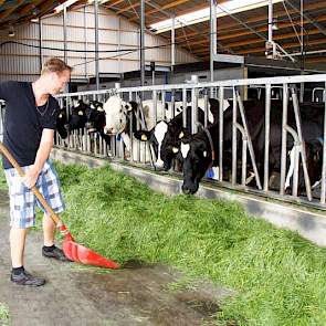 In de oude situatie hadden ze 100 koeien en 70 stuks jongvee. „De melkstal, een 2x5, was 30 jaar oud en helemaal versleten. Het jongvee zat overal verspreid, we hadden te weinig mestopslag en de melktank was te klein”, vertelt Frank. Een nieuwe melkveesta