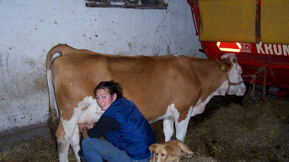 Miranda met de koeien met de hand op de eerste huurplek.