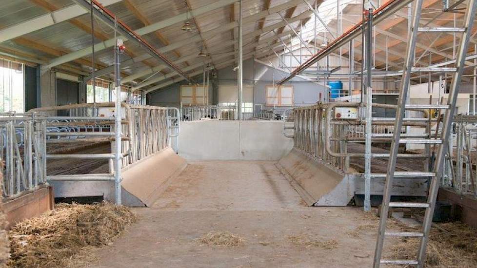 „We hadden in de oude stal ook Weelink-voerhekken, dus wij en de koeien waren aan dat systeem gewend”, vertelt Henk. Het voerhek voor de pinken komt ook uit de oude stal, dat hebben ze alleen wat aangepast.