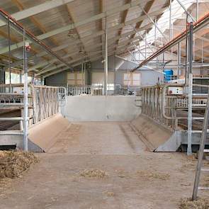 „We hadden in de oude stal ook Weelink-voerhekken, dus wij en de koeien waren aan dat systeem gewend”, vertelt Henk. Het voerhek voor de pinken komt ook uit de oude stal, dat hebben ze alleen wat aangepast.