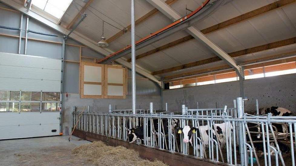 De JOZ-mestschuif uit de stal loopt in de jongveestal in een ondiepe put onder de roosters door en neemt ook die mest mee naar de mestscheider. Dat scheelt een aparte mestput.