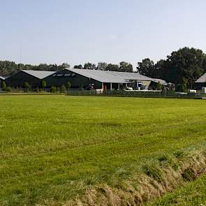 Agrifirm heeft samen met Praktijkonderzoek Plant & Omgeving (PPO) verschillende demovelden liggen voor proeven met verschillende akkerbouw en ruwvoergewassen.