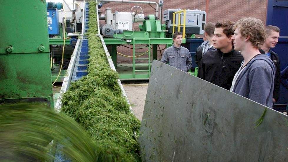 Volgens WUR zou de winning van eiwit uit gras het tienvoudige rendement opleveren van gras puur aanwenden als ruwvoer voor de koeien.