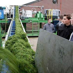 Volgens WUR zou de winning van eiwit uit gras het tienvoudige rendement opleveren van gras puur aanwenden als ruwvoer voor de koeien.