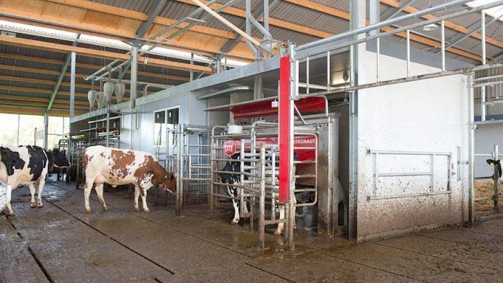 Binnen staan drie Lely Astronaut melkrobots in lijn opgesteld. Beide families molken al naar tevredenheid met Lely robots en hebben gekozen om ze in te ruilen voor drie nieuwe.