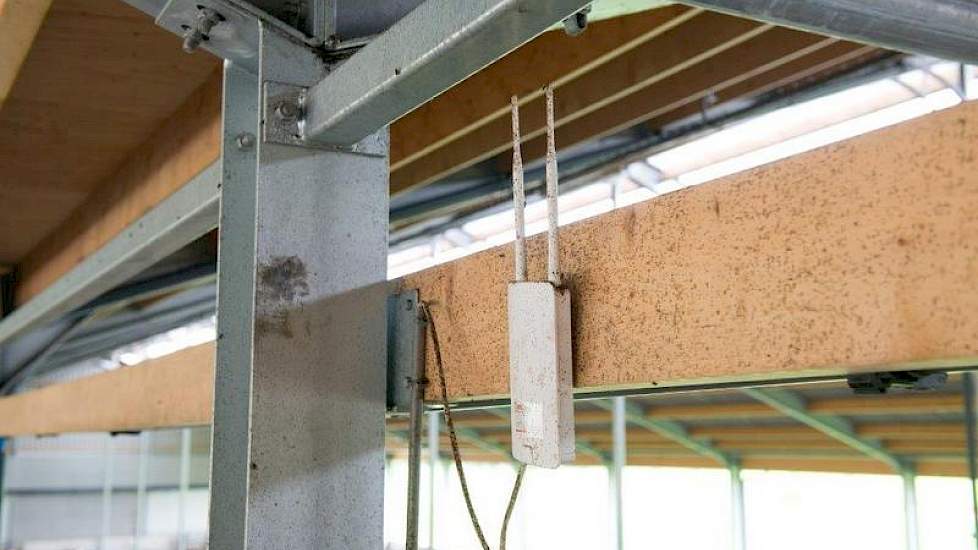 De tochtdetectie gebeurt via Lely's Qwes-systeem, dat via een antenne overal in de stal de koeien kan uitlezen.