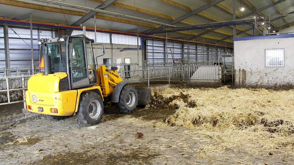 Achter de robots ligt een 'meedraaiend' strohok. De verse koeien en dieren die aandacht nodig worden na het melken weer naar het strohok gesepareerd.