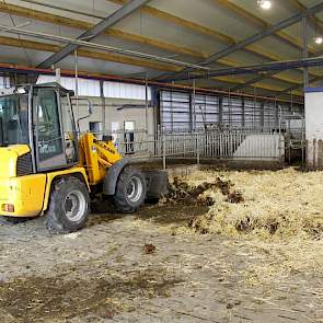 Achter de robots ligt een 'meedraaiend' strohok. De verse koeien en dieren die aandacht nodig worden na het melken weer naar het strohok gesepareerd.