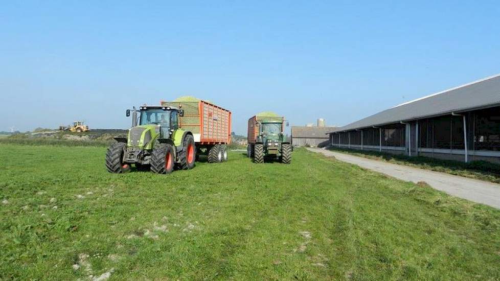 De volgende vrachten maïs staan al weer klaar. Deze maïs komt van de eigen percelen van Visser. Het is de eerste maïs van het seizoen die het loonbedrijf hakselt.