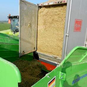 Simon Visser geeft aan dat maïs in het rantsoen hoort. „We hebben een tekort aan gras en maïs is een mooi product om bij te voeren.” Zelf verbouwen ze 12 hectare maïs, de rest wordt aangekocht.