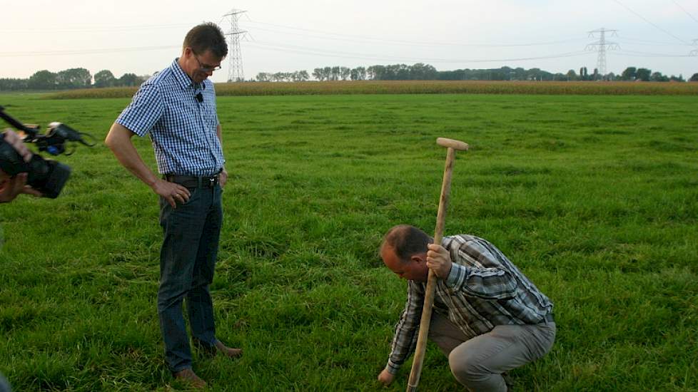 Edward Ensing trekt aan het jonge gras op een perceel van Pedro Kroon in Loenersloot. Kroon past wisselteelt toe met twee jaar mais en dan weer gras.