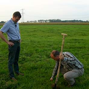 Edward Ensing trekt aan het jonge gras op een perceel van Pedro Kroon in Loenersloot. Kroon past wisselteelt toe met twee jaar mais en dan weer gras.