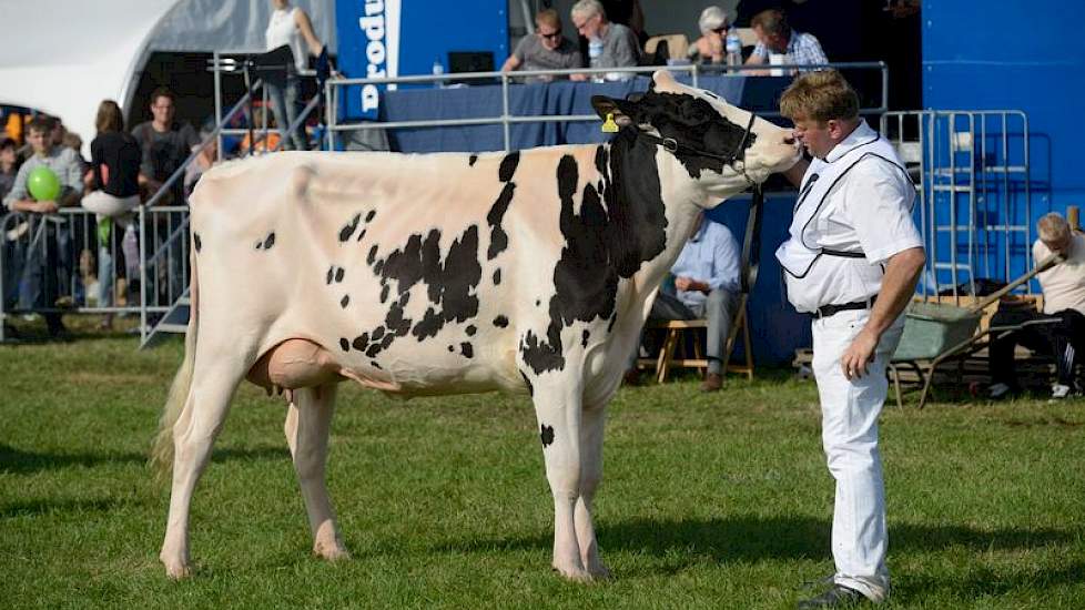 Watermolen Shamrock Pala (Shamrock x Bogart) van Martin de Groot uit Tienhoven eindigde als derde.