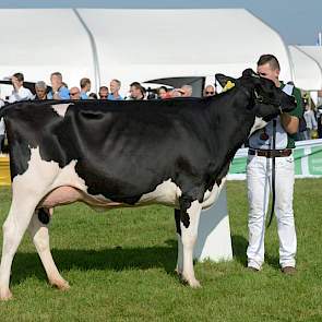 De jongste vaars van de keuring was met catalogusnummer 1 de op 5 september 2012 geboren De Witboom Greet 81 (Sid x Survivor) van Cees Versluis uit Ameide. Ze wist door te dringen tot de finale, waarin ze als vijfde eindigde.