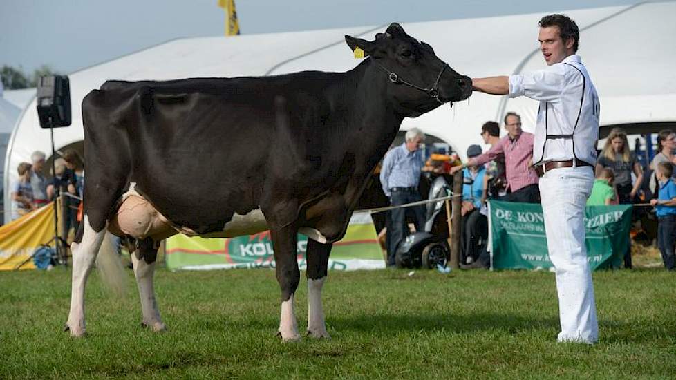 Het reservekampioenschap was er voor Bons-Holsteins Ella 175 (Jasper x Roy) van andermaal Bons.