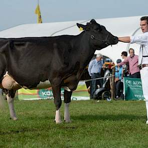 Het reservekampioenschap was er voor Bons-Holsteins Ella 175 (Jasper x Roy) van andermaal Bons.