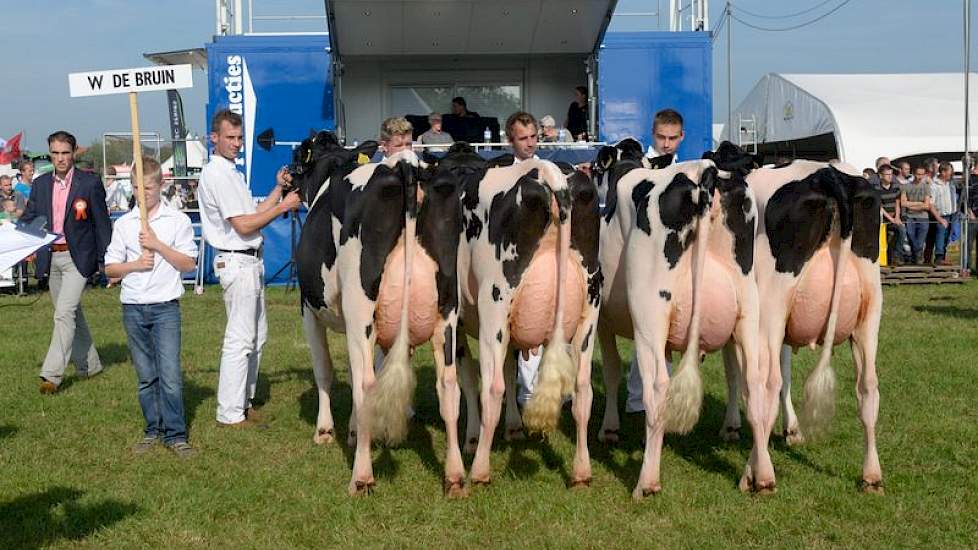 De zeer uniforme en uit jonge koeien bestaande bedrijfscollectie van de VOF de Bruin uit Giessenburg legde beslag op de tweede plaats.