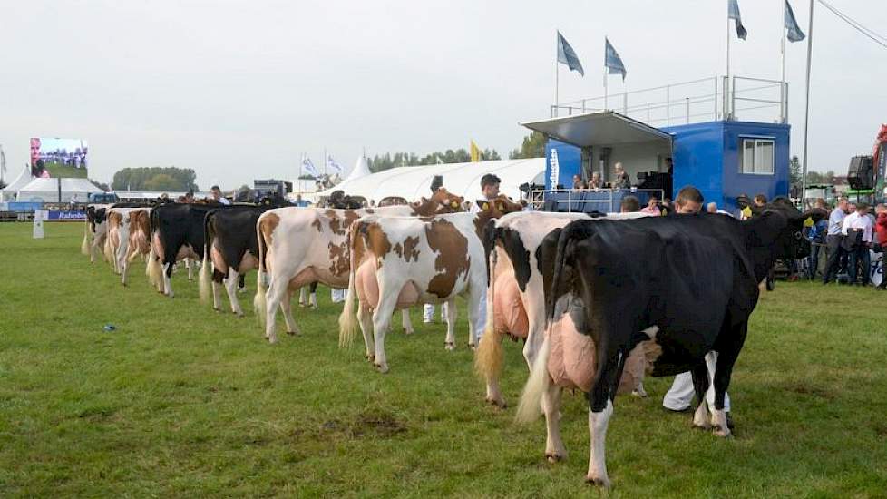 Aan het eind van de dag maakten alle kampioenen in een groot defilé nogmaals hun opwachting met geheel rechts honderdtonner Wilhelmina 401 van Van Dijk.