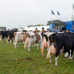 Aan het eind van de dag maakten alle kampioenen in een groot defilé nogmaals hun opwachting met geheel rechts honderdtonner Wilhelmina 401 van Van Dijk.